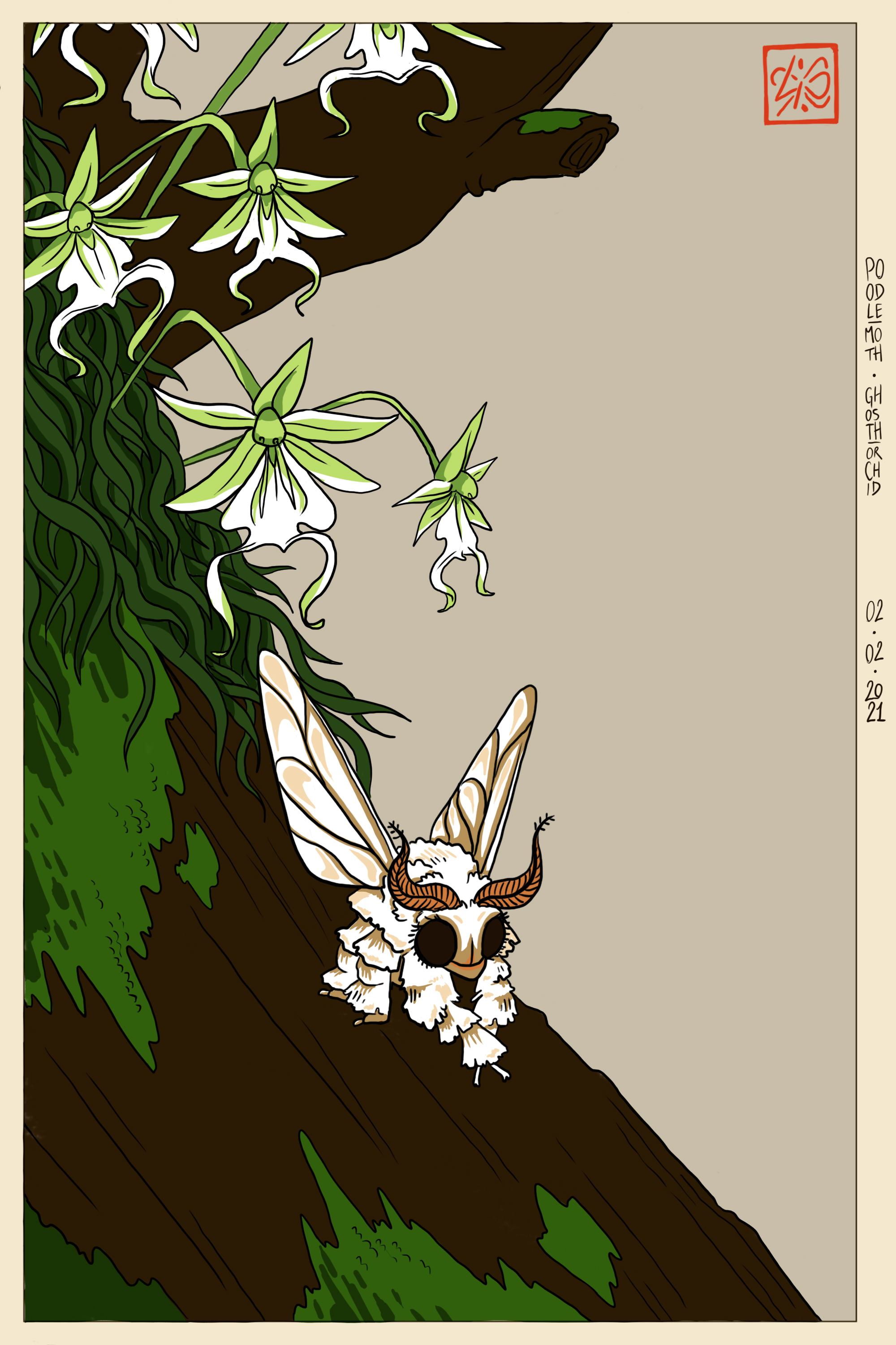 Poodle moth